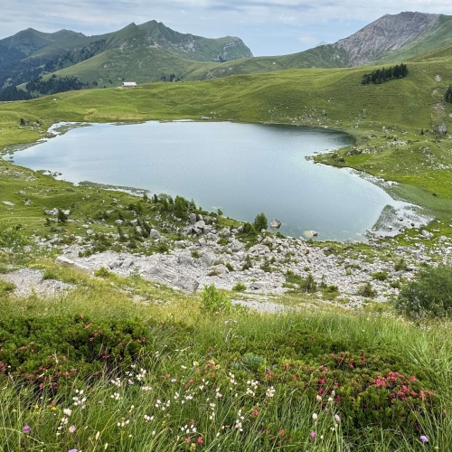 25_ 20250719_7_Das Herzseeli auf dem Sachsler-Seefeld