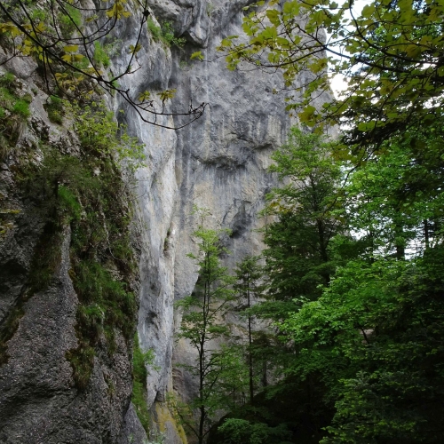 10_12_JuraTeil5_InderGorgesduCovatanne 004
