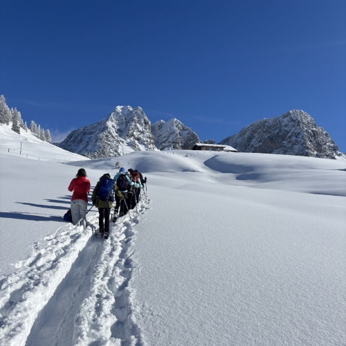 260111_SS_Sörenberg-Mörlialp 8 012