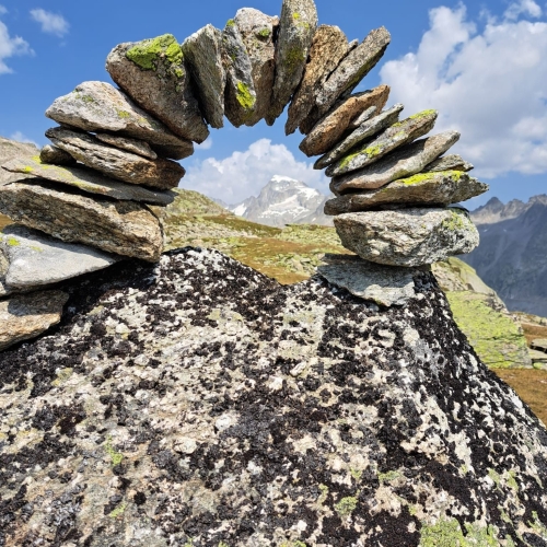 34_Grimsel-Nägelisgrätli 9 2025_08_13