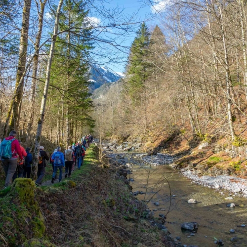 GV25_GJ_Wanderung II_2025-04-05 (3)
