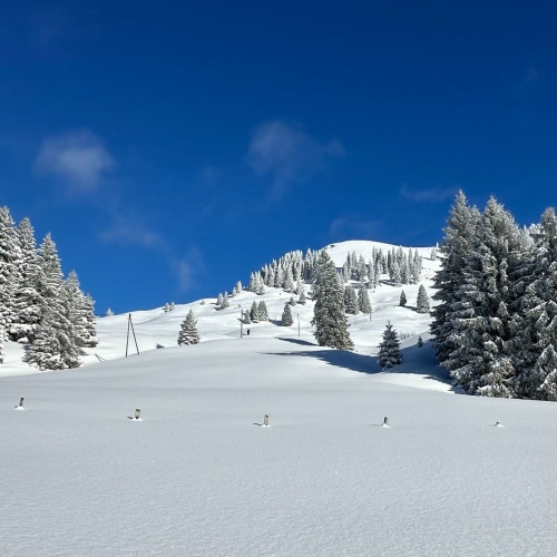 260111_SS_Sörenberg-Mörlialp 12