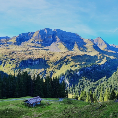 44_Axalp-Faulhorn-Schynige Platte 1 2025_09_17 001