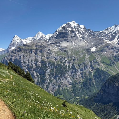 19_6_Panorama mit Wetterhorn, Eiger, Mönch, Jungfrau