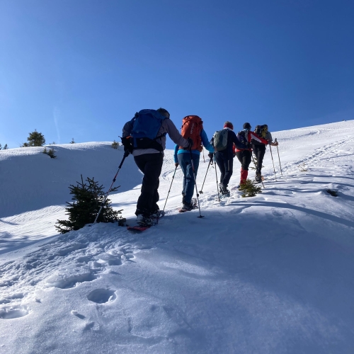 260121_SS_Alpnacher Howald 9