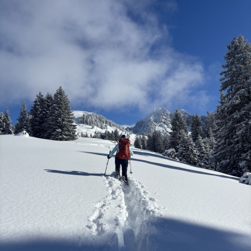 260111_SS_Sörenberg-Mörlialp 2 007