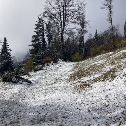 54_06_Schnee-auf-dem-Weg-zur-Dent-de-Vaulion 006