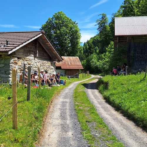 11_Brienz-Schweibenalp-Iseltwald 3 20250531