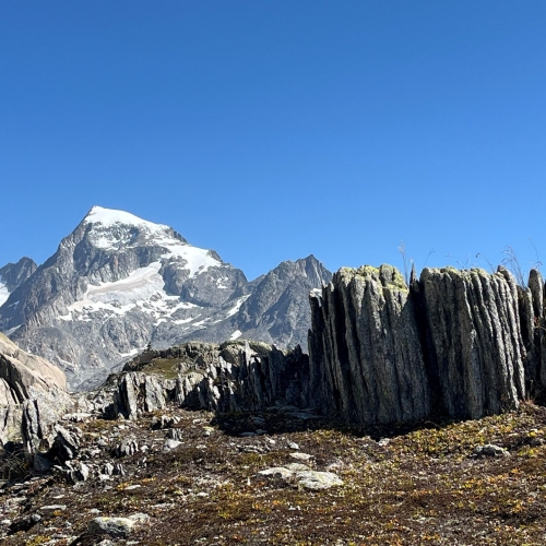 34_Grimsel-Nägelisgrätli 3 2025_08_13 002
