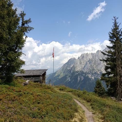 35_Grosse Scheidegg-Wildgärst 12 2025_08_16