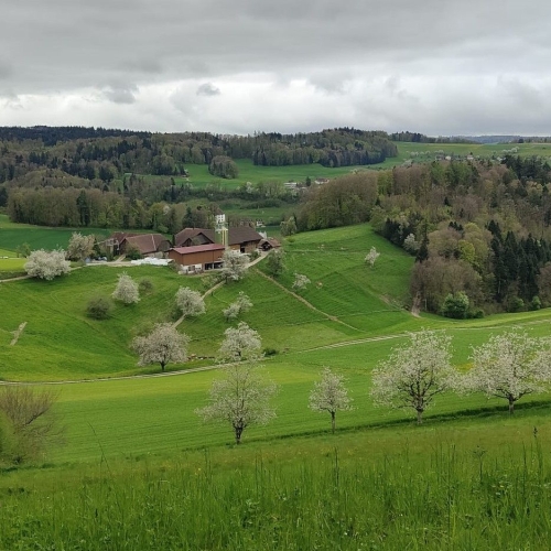 04_20250416_10 Landschaft
