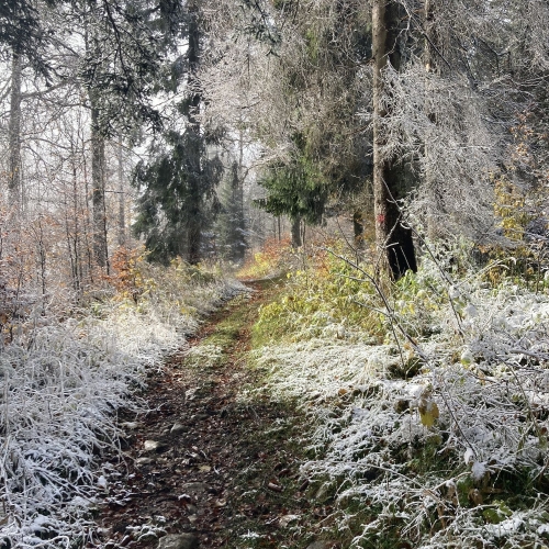 54_07_Geheimnisvolle-Wege 007