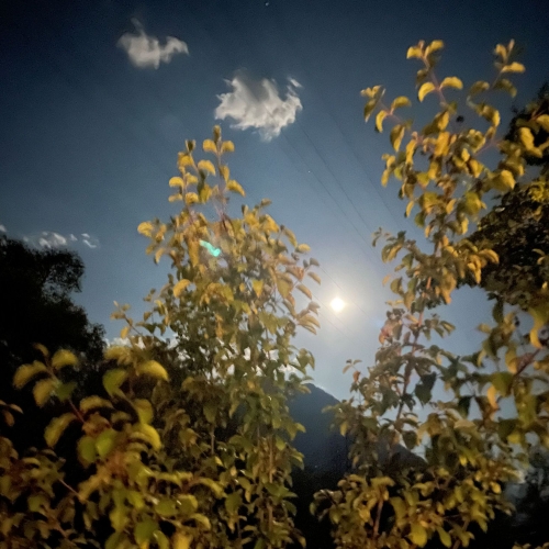 23_Wandernacht 2025_07_12 5